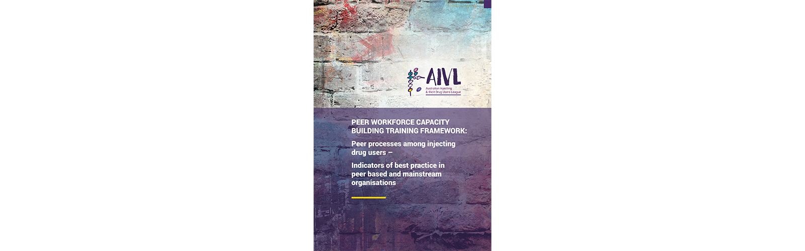 Featured image for “Peer Workforce Capacity Building Training Framework”
